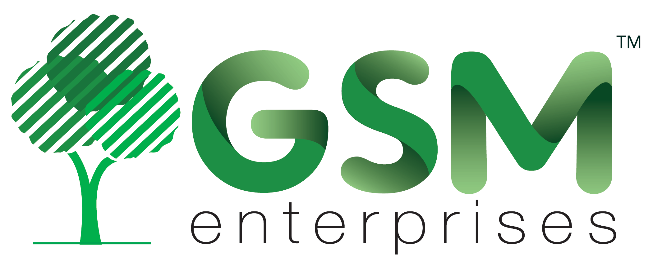 GSM Enterprises Plywood Supplier Chennai